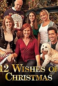 12 Wishes of Christmas (2011) watch-12 Wishes of Christmas (2011)