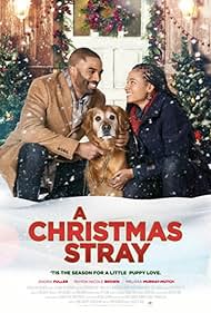 watch-A Christmas Stray (2021)