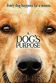 A Dog's Purpose (2017) watch-A Dog's Purpose (2017)