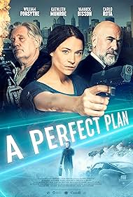 A Perfect Plan (2020) watch-A Perfect Plan (2020)