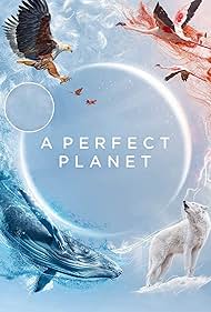 A Perfect Planet (2021) watch-A Perfect Planet (2021)