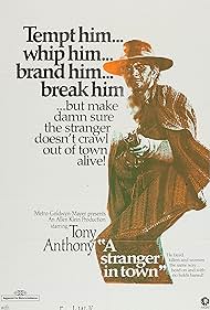 A Stranger in Town (1967) watch-A Stranger in Town (1967)