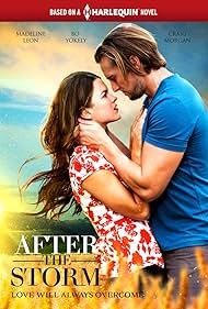 After the Storm (2019) watch-After the Storm (2019)