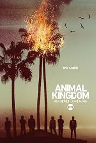 watch-Animal Kingdom (2016)