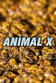 Animal X (1997) watch-Animal X (1997)