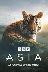 watch-Asia (2024) 2024