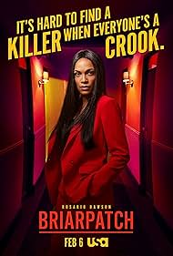 Briarpatch (2020) watch-Briarpatch (2020)