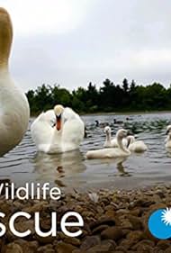 watch-City Wildlife Rescue (1970)