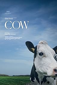 watch-Cow (2022)