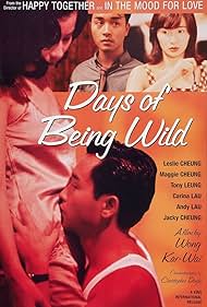 watch-Days of Being Wild (1990)
