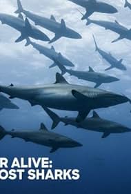 watch-Extinct or Alive: Land of the Lost Sharks (2020)