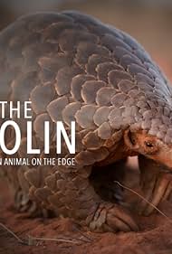 Eye of the Pangolin (2019) watch-Eye of the Pangolin (2019)