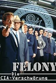 Felony (1994) watch-Felony (1994)
