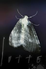 watch-Flutter (2015)