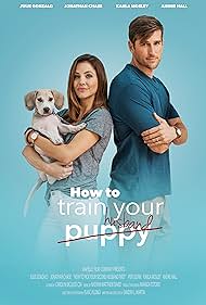 How to Train Your Husband or (How to Pick Your Second Husband First) (2018) watch-How to Train Your Husband or (How to Pick Your Second Husband First) (2018)