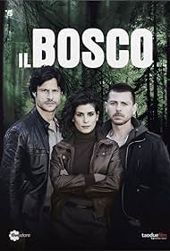 watch-Il bosco (2015)