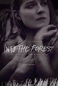 watch-Into the Forest (2016)