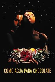 Like Water for Chocolate (1993) watch-Like Water for Chocolate (1993)