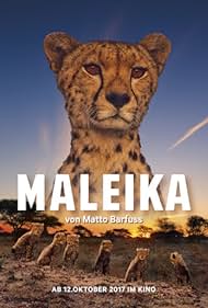 Maleika (2017) watch-Maleika (2017)