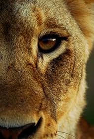 Malika the Lion Queen (2021) watch-Malika the Lion Queen (2021)