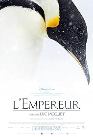 March of the Penguins 2: The Next Step (2018) watch-March of the Penguins 2: The Next Step (2018)