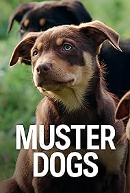 Muster Dogs (2022) watch-Muster Dogs (2022)