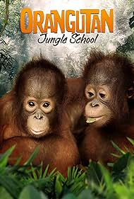 Orangutan Jungle School (2019) watch-Orangutan Jungle School (2019)
