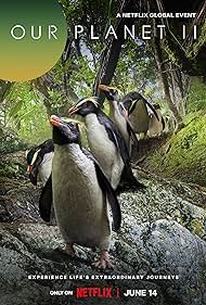 Our Planet (2019) watch-Our Planet (2019)