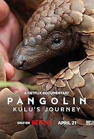 Pangolin: Kulu's Journey (2025) watch-Pangolin: Kulu's Journey (2025)