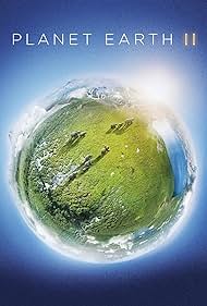 Planet Earth II (2017) watch-Planet Earth II (2017)