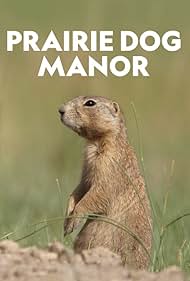 Prairie Dog Manor (2019) watch-Prairie Dog Manor (2019)
