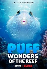 Puff: Wonders of the Reef (2021) watch-Puff: Wonders of the Reef (2021)