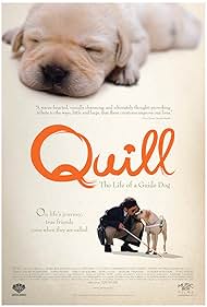 Quill: The Life of a Guide Dog (2012) watch-Quill: The Life of a Guide Dog (2012)