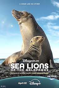 Sea Lions of the Galapagos (2025) watch-Sea Lions of the Galapagos (2025)