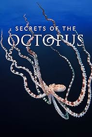 watch-Secrets of the Octopus (2024)