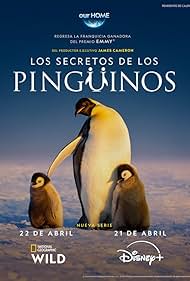 watch-Secrets of the Penguins (2025)