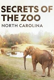 Secrets of the Zoo: North Carolina (2020) watch-Secrets of the Zoo: North Carolina (2020)