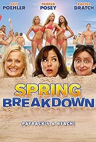 Spring Breakdown (2009) watch-Spring Breakdown (2009)