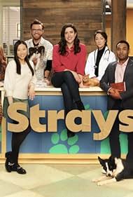 Strays (2021) watch-Strays (2021)