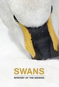 Swans: Mystery of the Missing (2019) watch-Swans: Mystery of the Missing (2019)