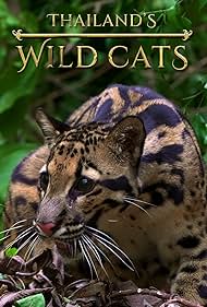 watch-Thailand's Wild Cats (2021)