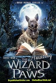 The Amazing Wizard of Paws (2022) watch-The Amazing Wizard of Paws (2022)