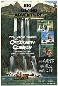 The Castaway Cowboy (1974) watch-The Castaway Cowboy (1974)