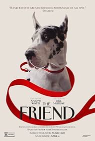 The Friend (2025) watch-The Friend (2025)