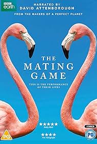 watch-The Mating Game (2021)