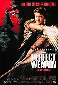 The Perfect Weapon (1991) watch-The Perfect Weapon (1991)