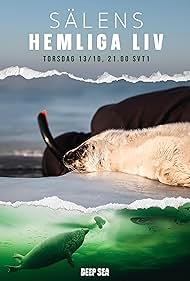 The Secret Life of Seals (2022) watch-The Secret Life of Seals (2022)
