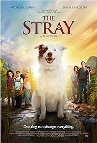 watch-The Stray (2017)
