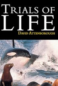 The Trials of Life (1990) watch-The Trials of Life (1990)