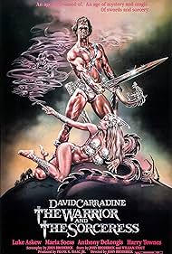 The Warrior and the Sorceress (1984) watch-The Warrior and the Sorceress (1984)